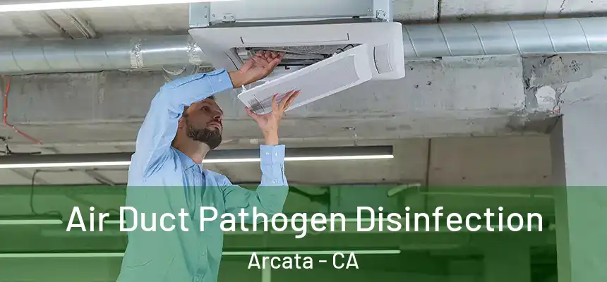  Air Duct Pathogen Disinfection Arcata - CA