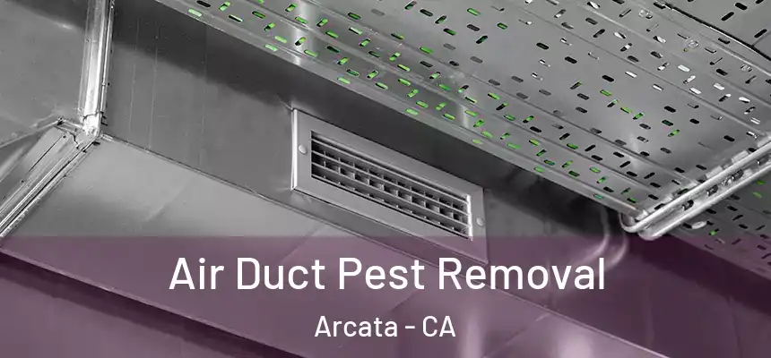  Air Duct Pest Removal Arcata - CA