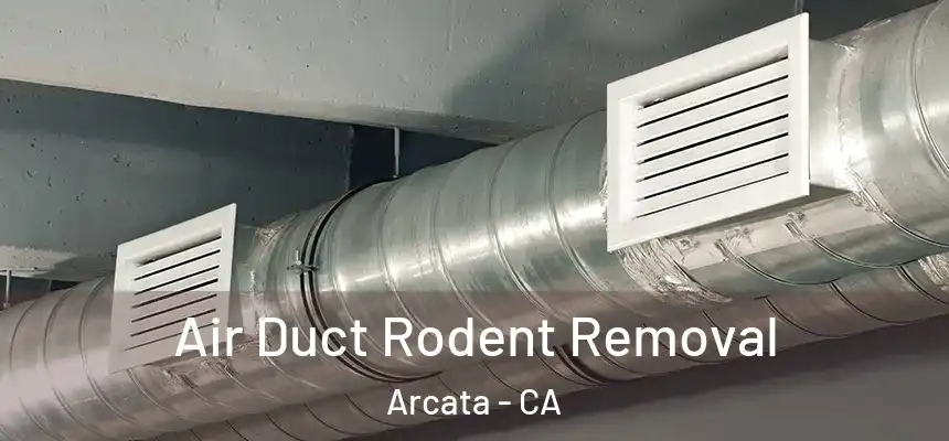  Air Duct Rodent Removal Arcata - CA
