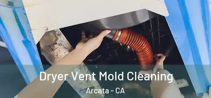  Dryer Vent Mold Cleaning Arcata - CA