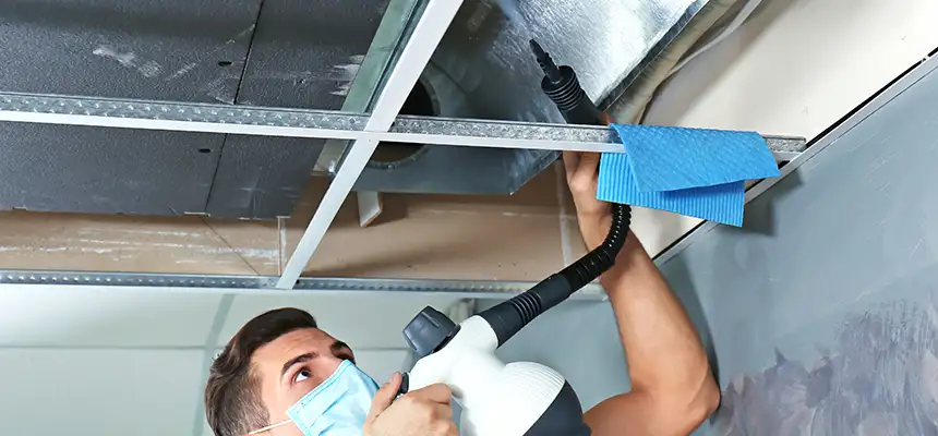 Our Air Duct Rodent Removal Services in Arcata, CA