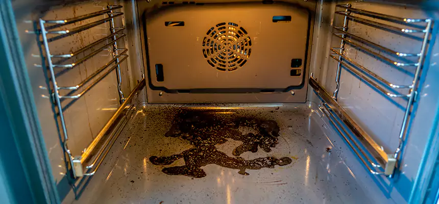 Our Dryer Vent Mold Cleaning Services in Arcata, CA