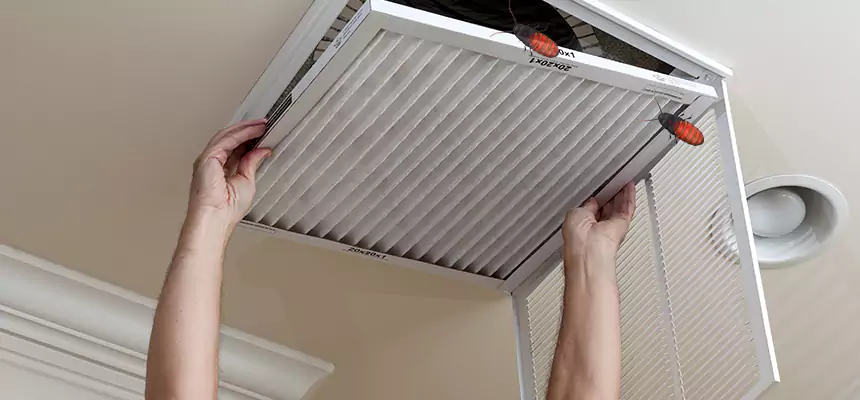 Our Insect Removal from Air Ducts Services in Arcata, CA