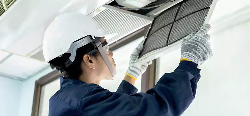 Our Mold & Mildew Removal from Air Ducts Services in Arcata, CA