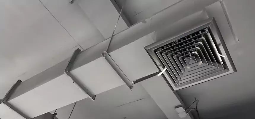 Our Rodent Droppings In Vents Services in Arcata, CA