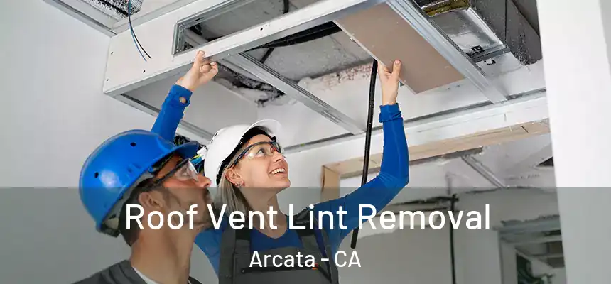  Roof Vent Lint Removal Arcata - CA