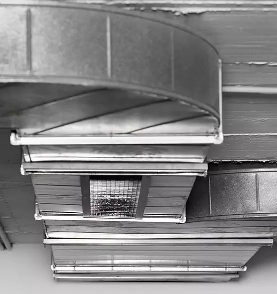 Professional Air Duct Pest Removal in Arcata, CA