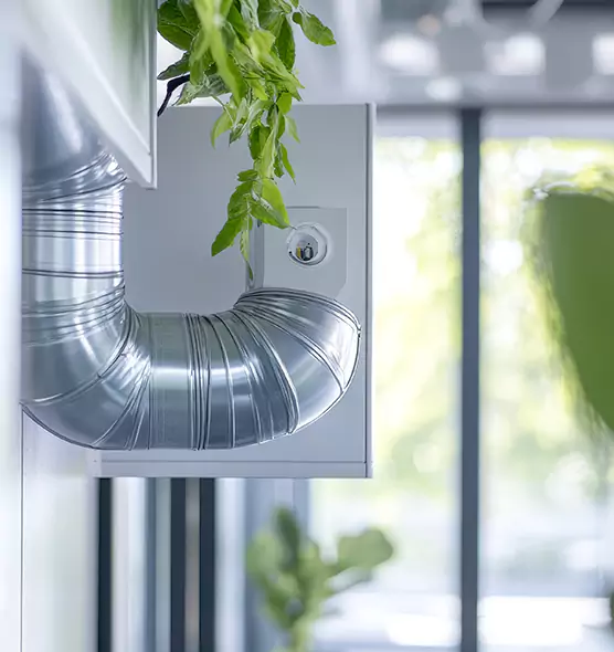 Professional Eco-Safe Dryer Vent Cleaning in Arcata, CA