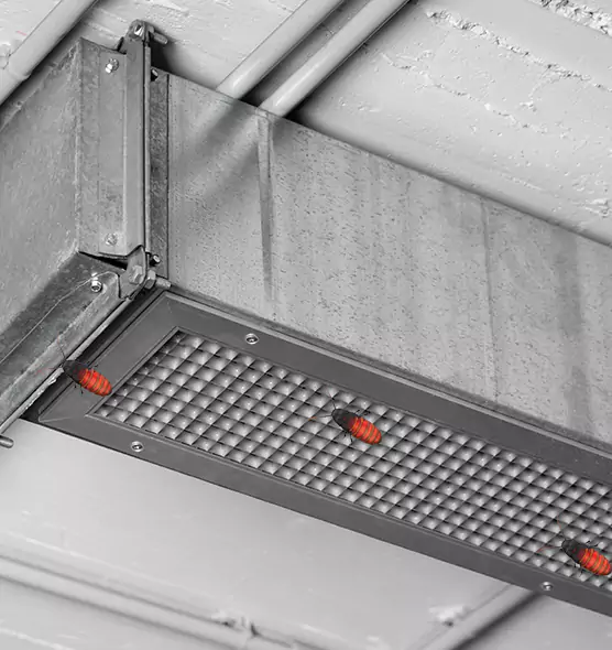 Affordable Insect Removal from Air Ducts in Arcata, CA