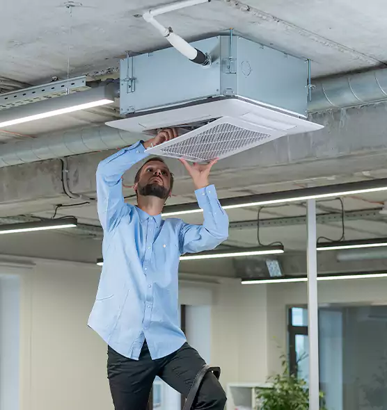 Advanced Rodent Droppings In Vents in Arcata, CA